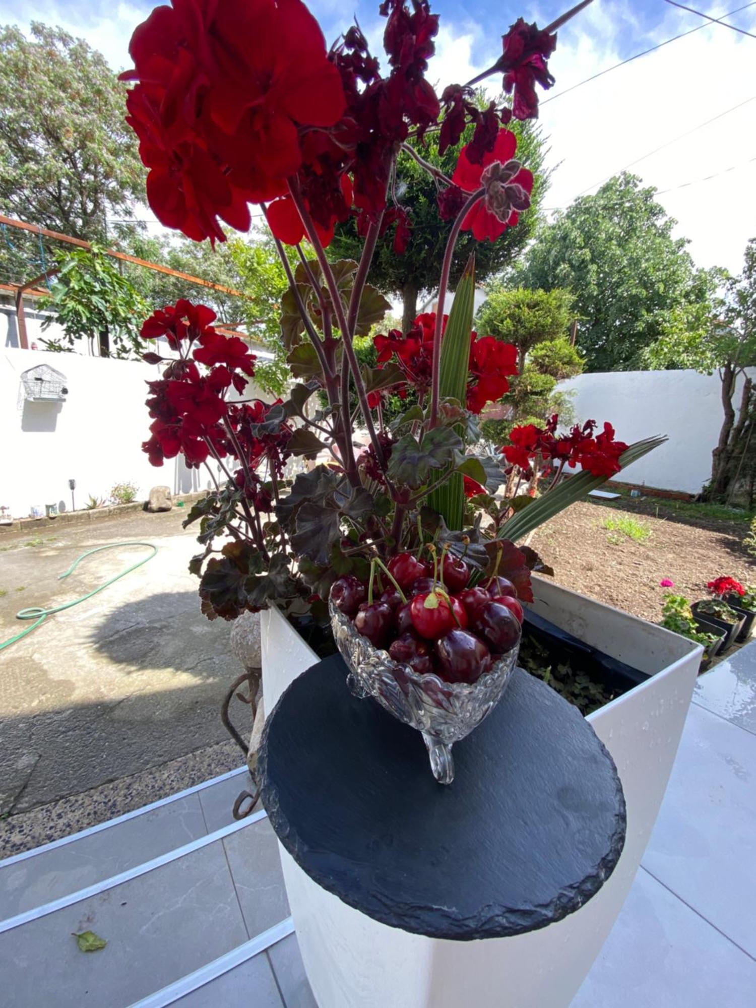 Artists Villa *